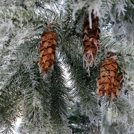 Landhaus Haid Presseck Zewnętrze zdjęcie