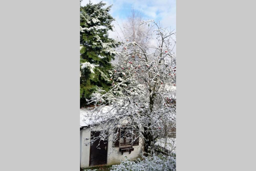 Landhaus Haid Presseck Zewnętrze zdjęcie